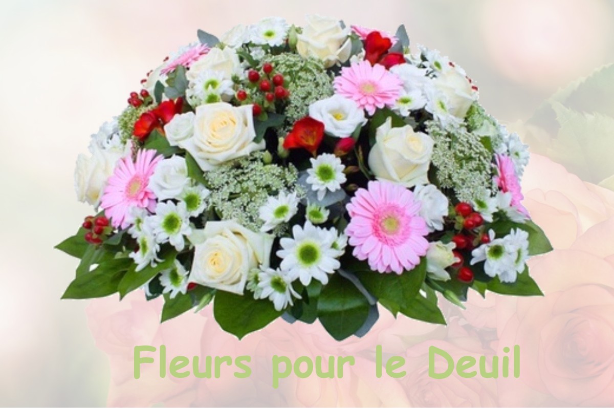 fleurs deuil DAMMARTIN-SUR-TIGEAUX